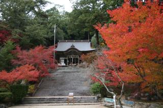 写真：仁比山神社の紅葉の様子