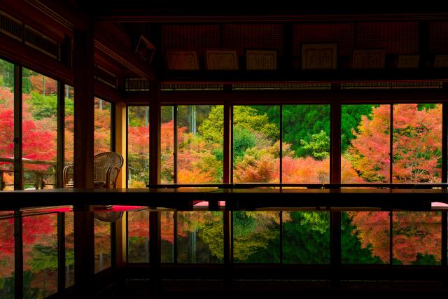 写真：敷地内にある「風遊山荘」からの紅葉