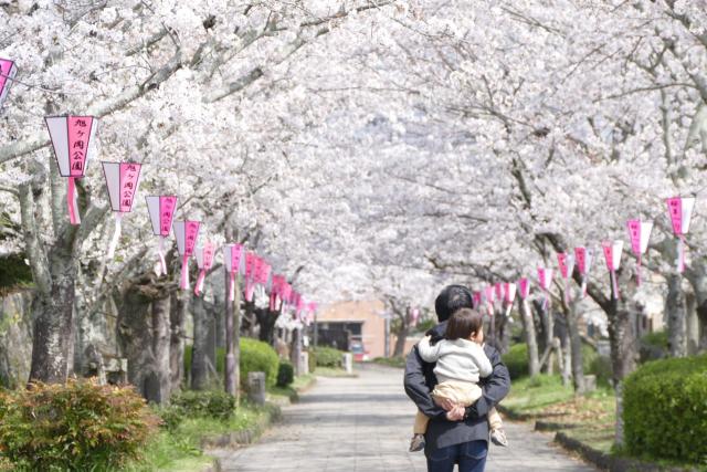 写真：桜並木の下を歩く赤ちゃんをおんぶした男性