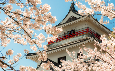 唐津城の桜の画像