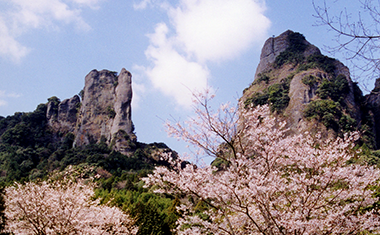 黒髪山乳待坊公園の桜の画像