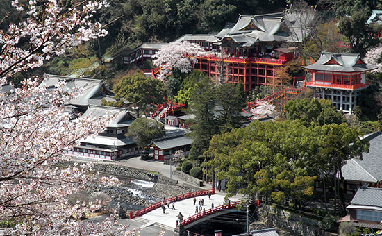 祐徳稲荷神社の桜の画像