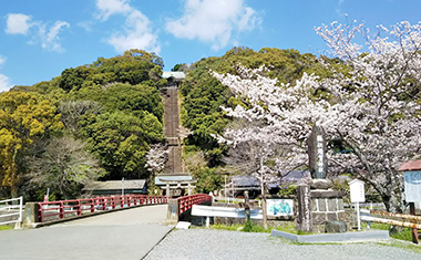 須賀神社の桜の画像