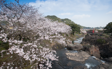 轟の滝公園の桜の画像