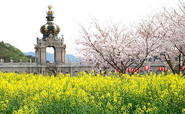 有田ポーセリンパークの桜の画像