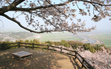 桜の里の画像