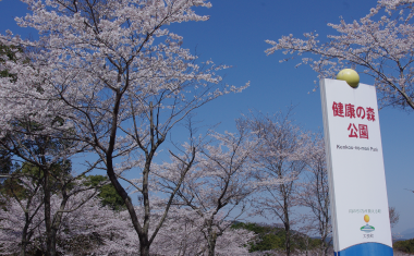 健康の森公園の桜の画像