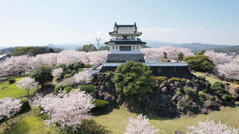 竹崎城址展望台公園の桜の画像