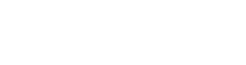 Saga Vegetarian’s Guide